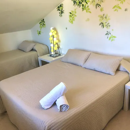 Rainbow Coll Verd Playa de Gandia